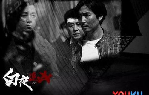 白夜追凶在线观看,黑白交织的悬疑世界，揭秘犯罪背后的真相  第1张